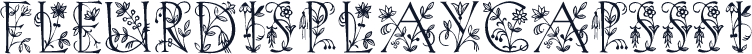 FleurDisplayCapsSSi