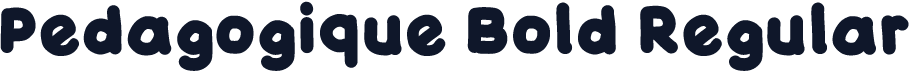 Pedagogique Bold Regular