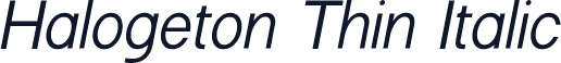 Halogeton Thin Italic