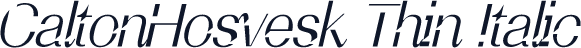 CaltonHosvesk Thin Italic