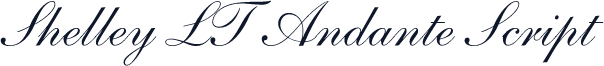 Shelley LT Andante Script