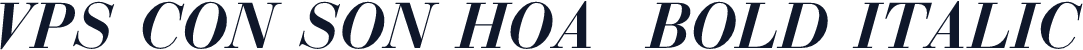 VPS Con Son Hoa  Bold Italic