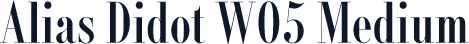 Alias Didot W05 Medium