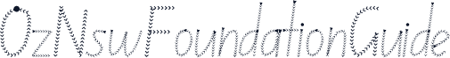 OzNswFoundationGuide