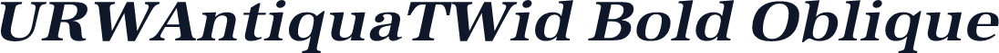 URWAntiquaTWid Bold Oblique