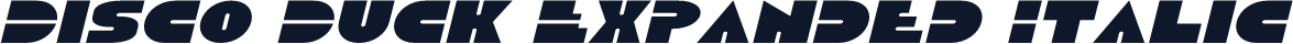 Disco Duck Expanded Italic