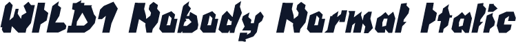 WILD1 Nobody Normal Italic