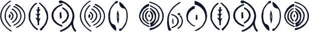 Vulva Regular