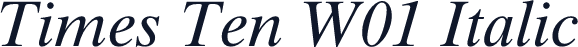 Times Ten W01 Italic