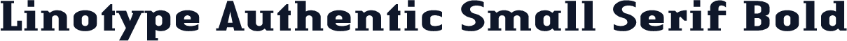 Linotype Authentic Small Serif Bold