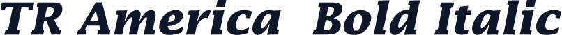 TR America  Bold Italic