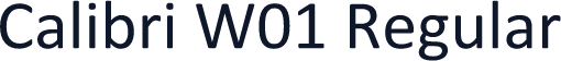 Calibri W01 Regular