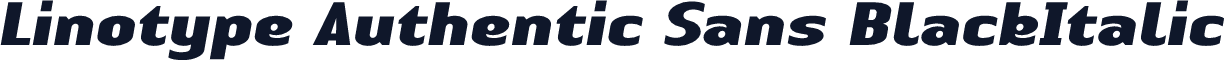 Linotype Authentic Sans BlackItalic