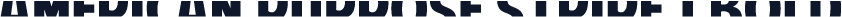 American Purpose STRIPE 1 Bold