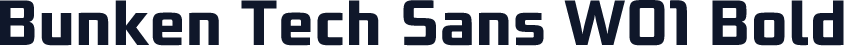 Bunken Tech Sans W01 Bold
