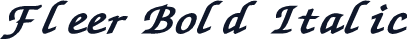 Fleer Bold Italic