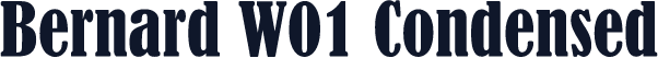 Bernard W01 Condensed