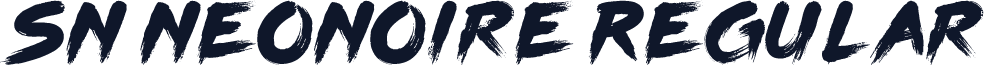 SN NeoNoire Regular