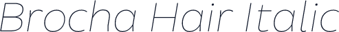 Brocha Hair Italic