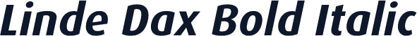 Linde Dax Bold Italic
