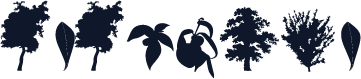 ☞FTForest