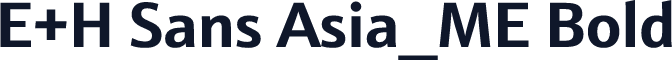 E+H Sans Asia_ME Bold