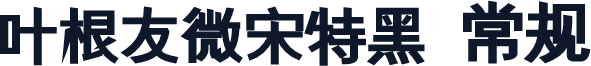 叶根友微宋特黑 常规