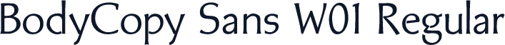 BodyCopy Sans W01 Regular