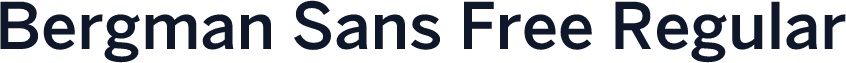 Bergman Sans Free Regular