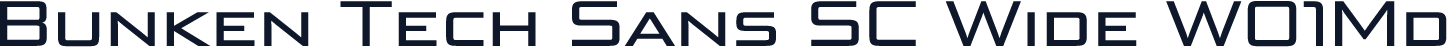 Bunken Tech Sans SC Wide W01Md