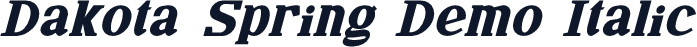 Dakota Spring Demo Italic