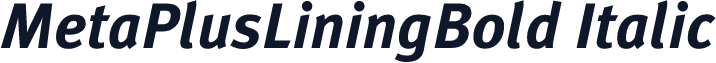 MetaPlusLiningBold Italic
