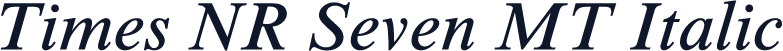 Times NR Seven MT Italic