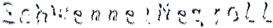 SchwennelNegroLL