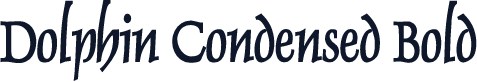 Dolphin Condensed Bold