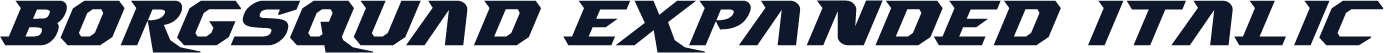 Borgsquad Expanded Italic