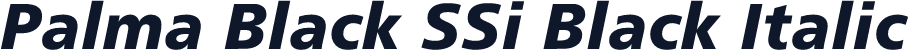 Palma Black SSi Black Italic