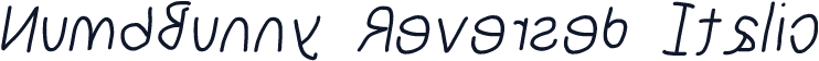 NumbBunny Reversed Italic