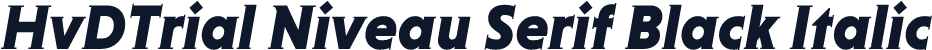 HvDTrial Niveau Serif Black Italic
