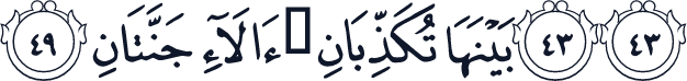 QCF_P533