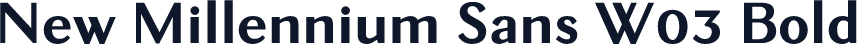 New Millennium Sans W03 Bold