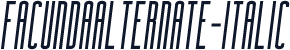 FacundaAlternate-Italic