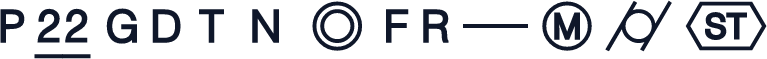 P22 GDT NoFrames