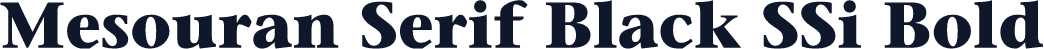 Mesouran Serif Black SSi Bold