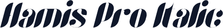 Hamis Pro Italic