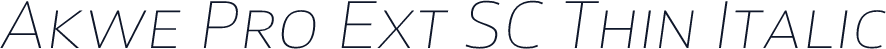 Akwe Pro Ext SC Thin Italic
