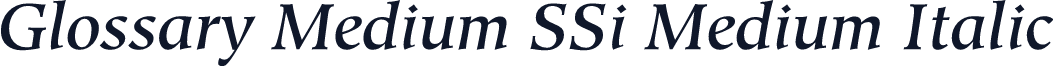 Glossary Medium SSi Medium Italic
