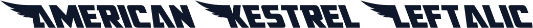 American Kestrel Leftalic