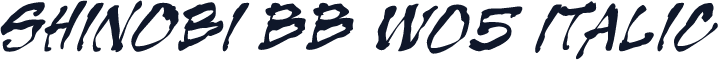 Shinobi BB W05 Italic