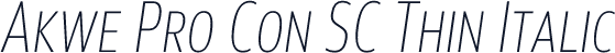 Akwe Pro Con SC Thin Italic